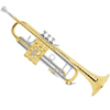 Bach Brass -Bach Stradivarius 18037 Professional Step up Trumpet
